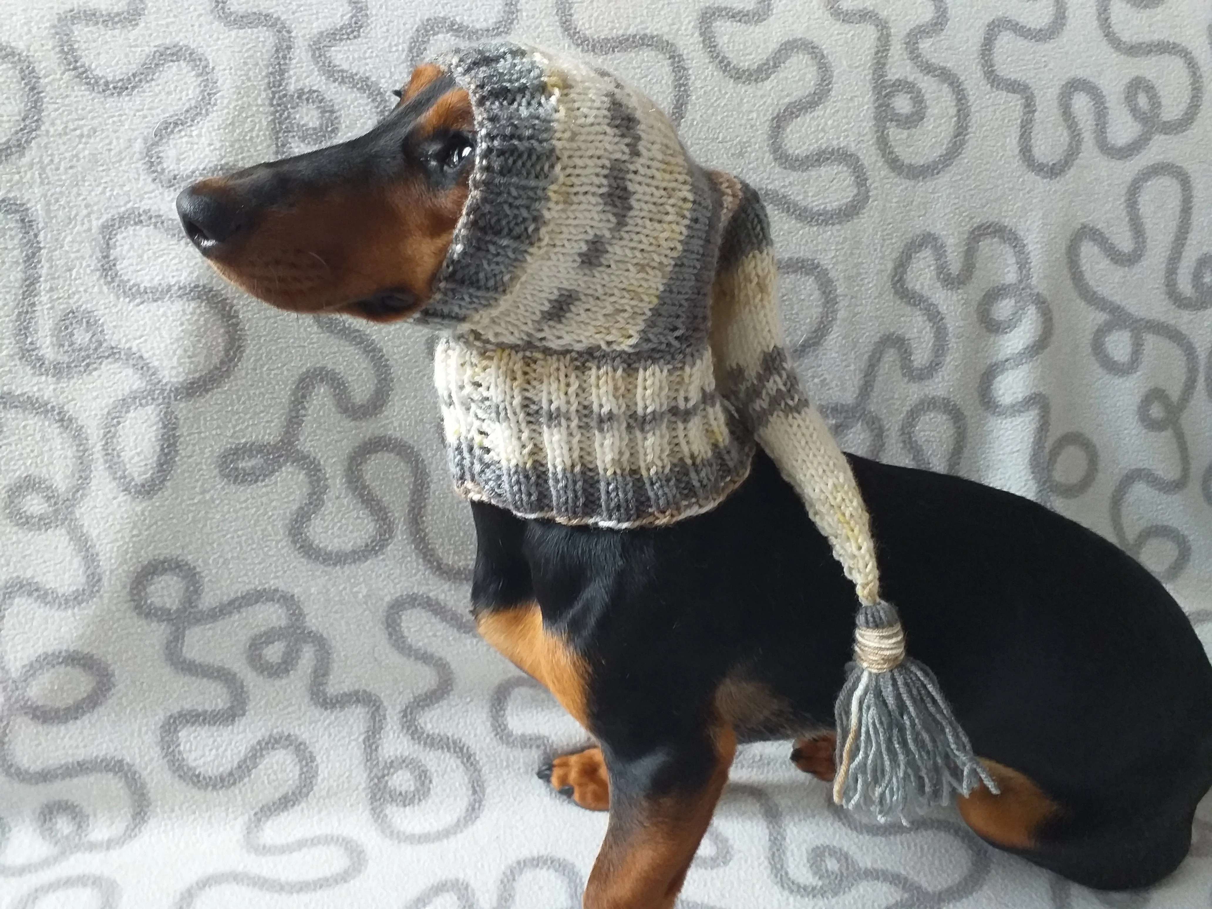 Knitted hat for dachshund or small dog, warm knitted hat for dog, Dog Christmas Hat, Santa Dog Hat, Elf Dog Outfit, doxie clothes hat