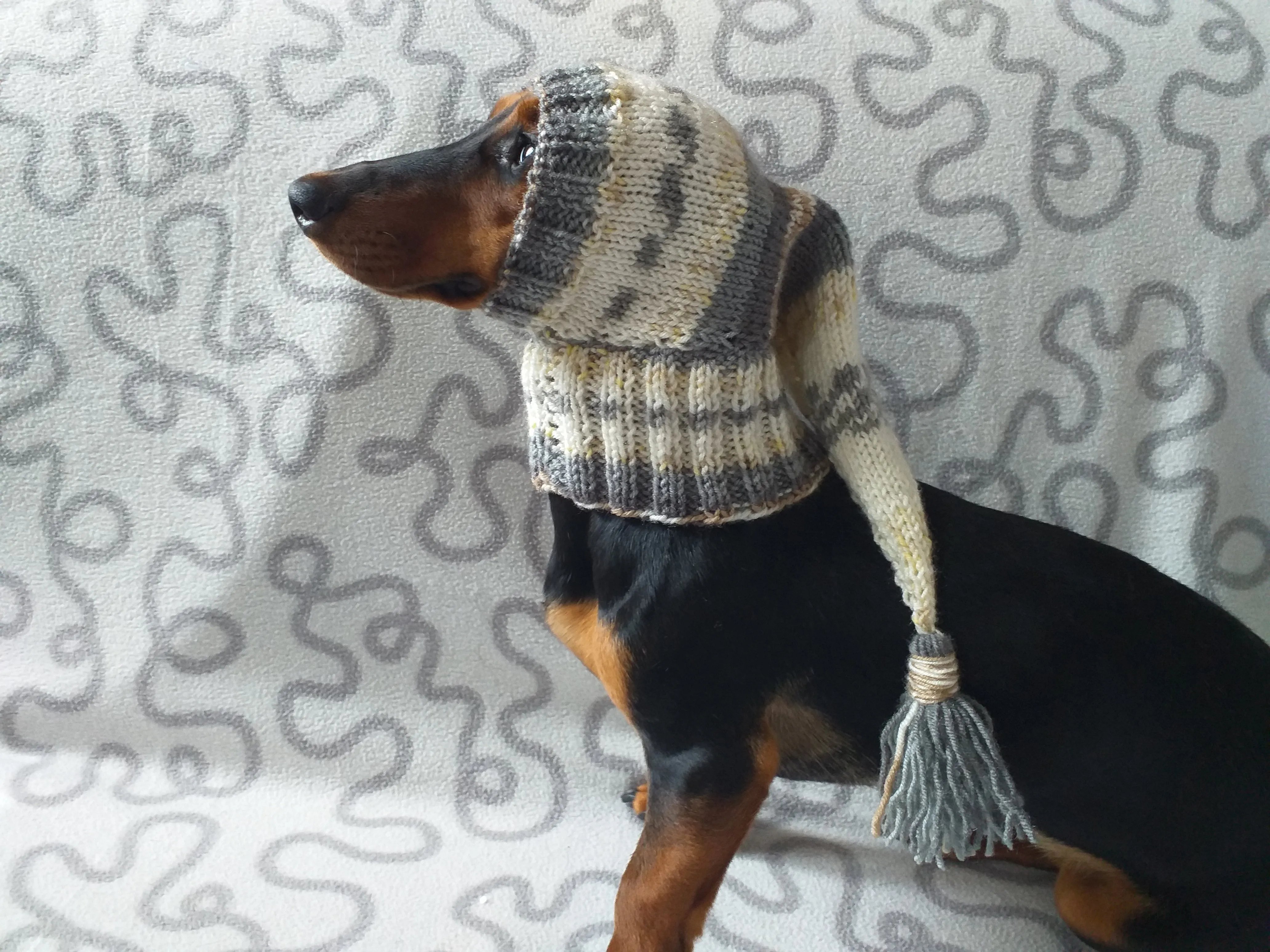 Knitted hat for dachshund or small dog, warm knitted hat for dog, Dog Christmas Hat, Santa Dog Hat, Elf Dog Outfit, doxie clothes hat