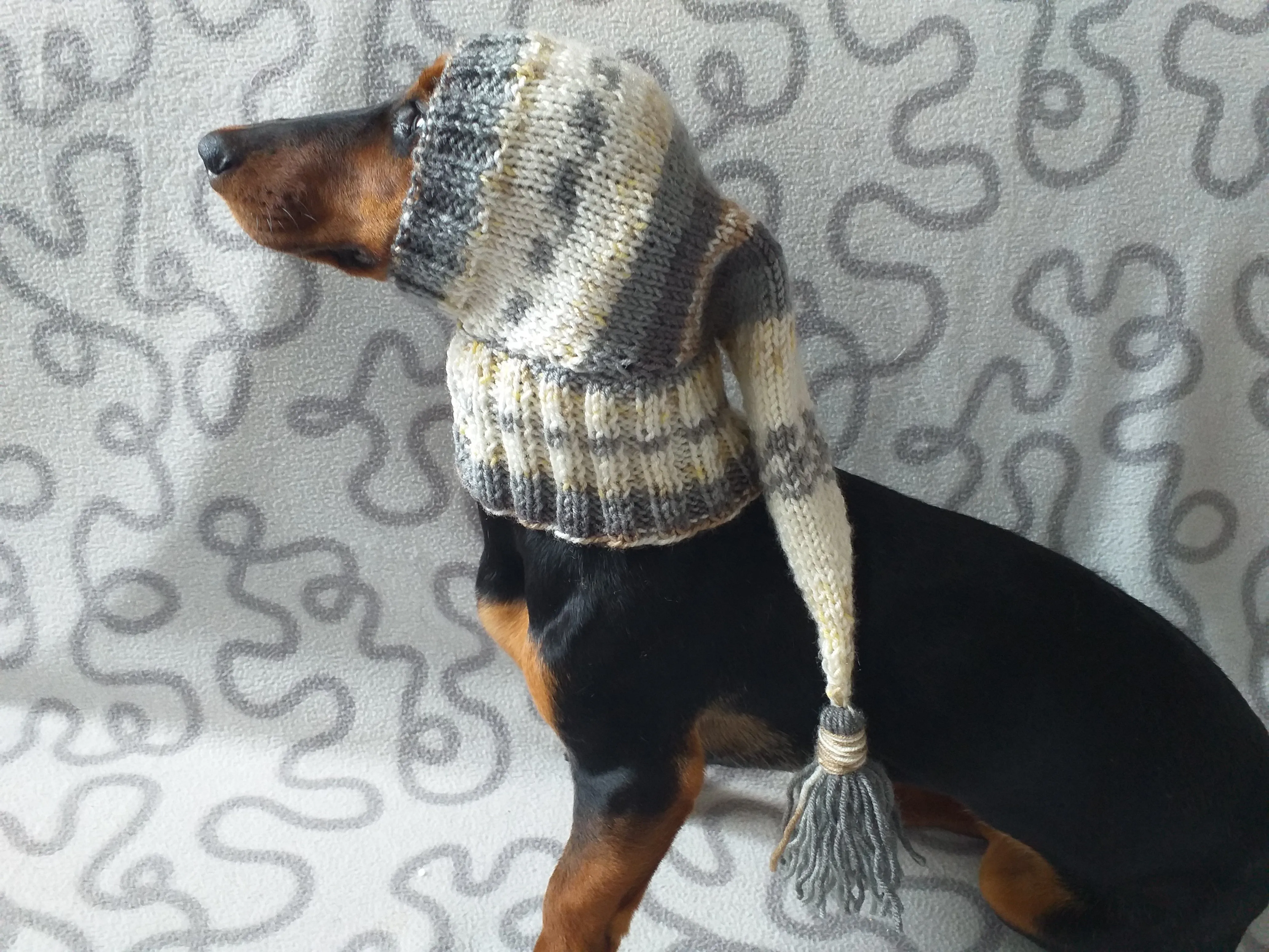 Knitted hat for dachshund or small dog, warm knitted hat for dog, Dog Christmas Hat, Santa Dog Hat, Elf Dog Outfit, doxie clothes hat