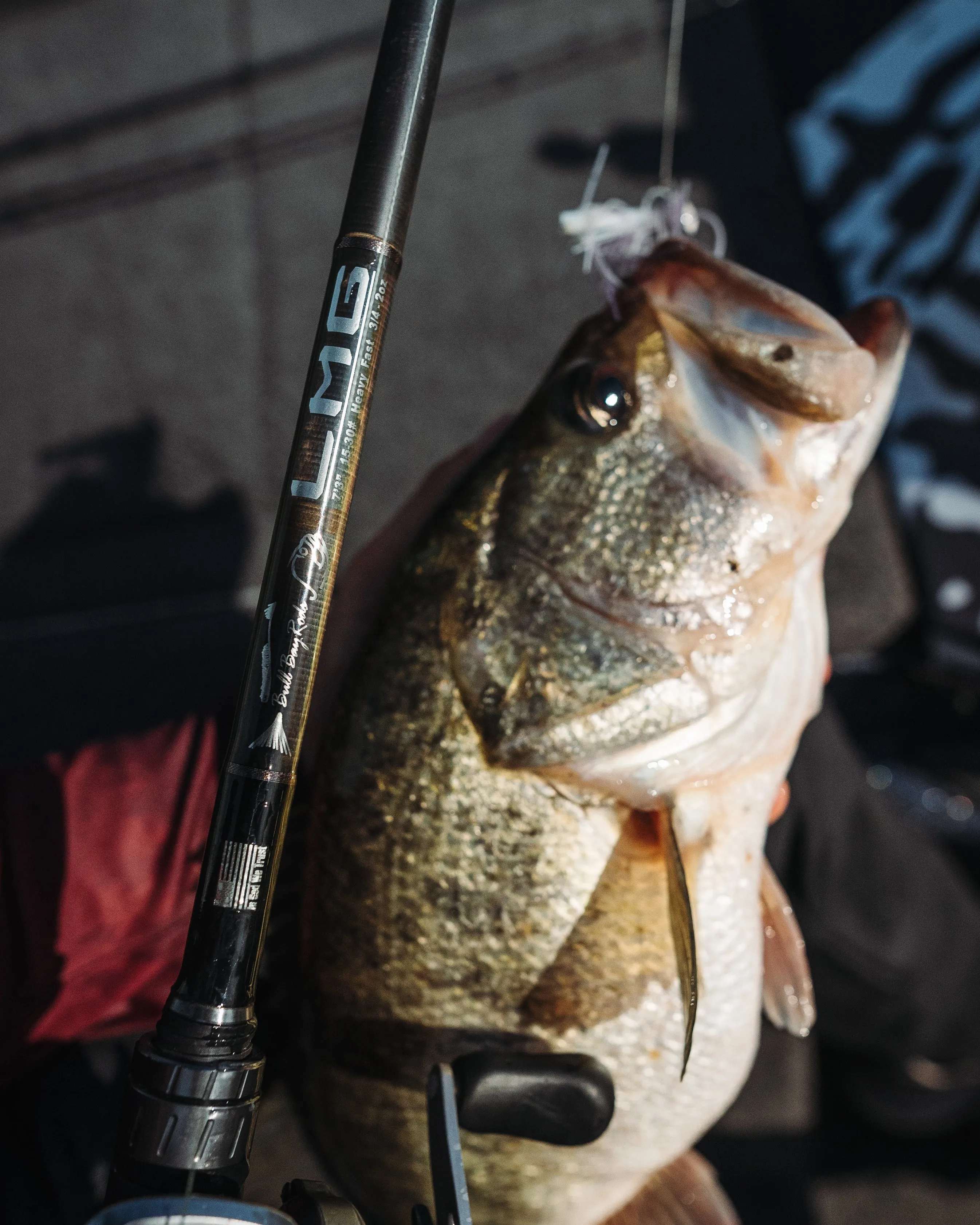 LMG Baitcasting Rod - Freshwater