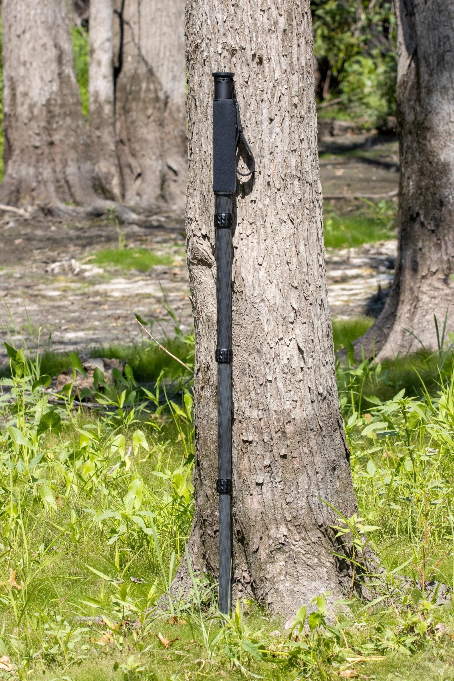 TR42MXL Carbon Fiber Monopod | 81 inches Height | Standard 1-4"-20 & 3-8"-16 threads